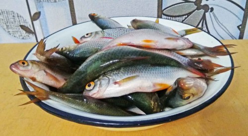 Les_20.08.2019-4.jpg