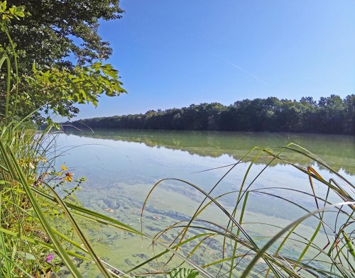 Les_24.08.2019-2.jpg