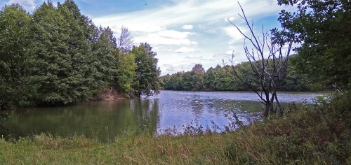 Les_24.08.2019-3.jpg