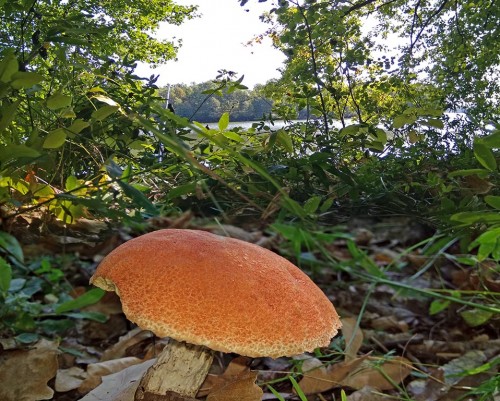 Les_24.08.2019-5.jpg