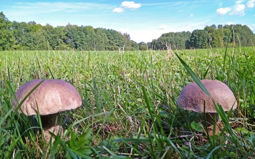 Les_24.08.2019-6.jpg