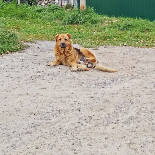 Les_25.08.2019-3.jpg