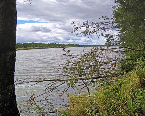Les_27.08.2019-1.jpg