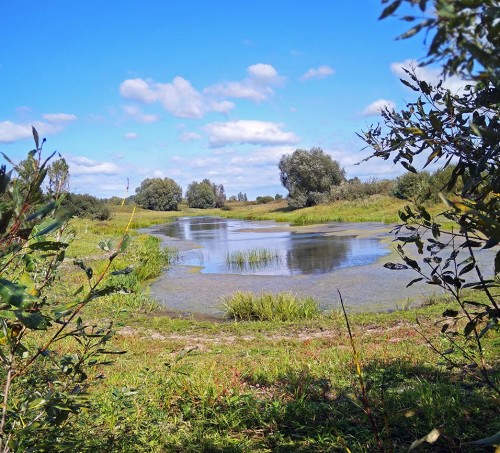 Les_29.08.2019-2.jpg
