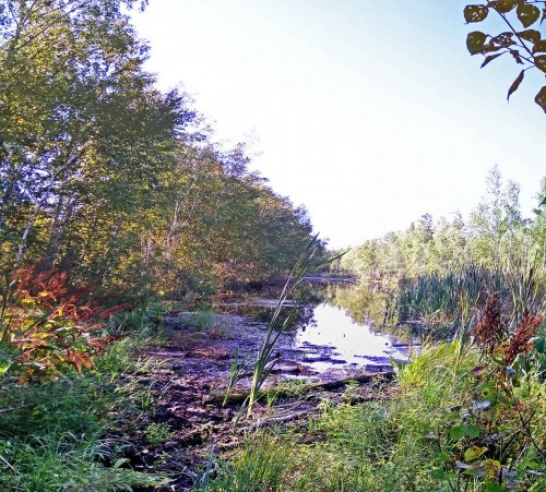 Les_03.09.2019-2.jpg