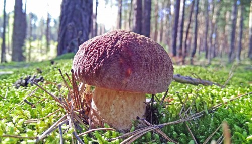 Les_03.09.2019-4.jpg