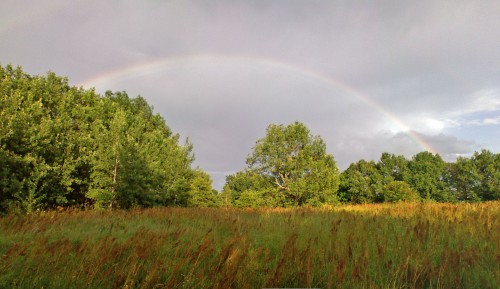 Griby06082011-8.jpg