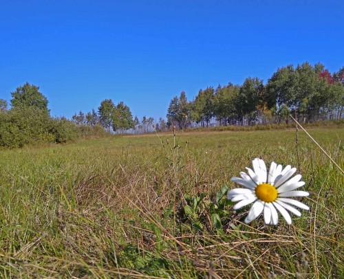 Les_04.09.2019-1.jpg