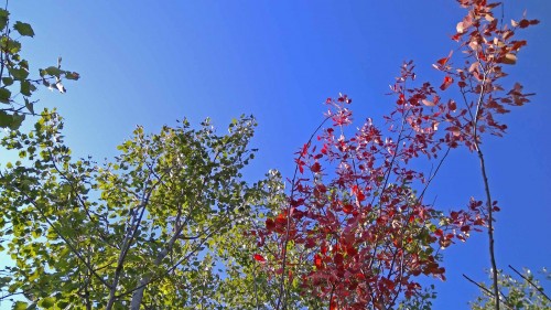 Les_04.09.2019-2.jpg