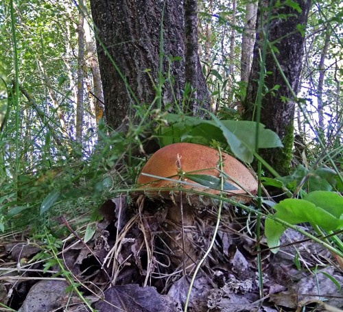 Les_04.09.2019-3.jpg