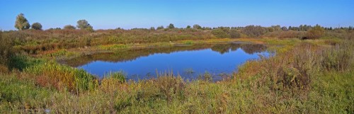 Les_04.09.2019-4.jpg