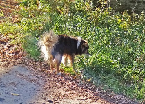 Les_04.09.2019-8.jpg