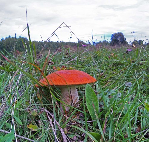 Les_08.09.2019-2.jpg
