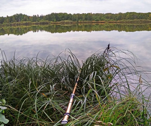 Les_08.09.2019-3.jpg
