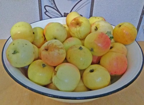 Les_08.09.2019-4.jpg