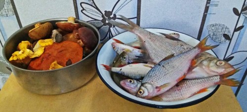 Les_08.09.2019-5.jpg
