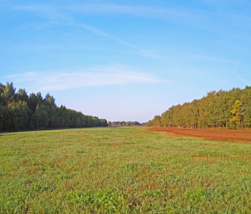Les_10.09.2019-1.jpg