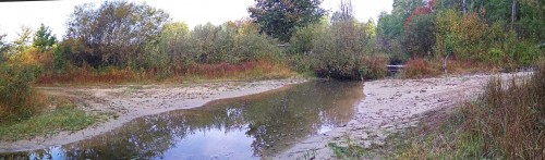 Les_10.09.2019-4.jpg