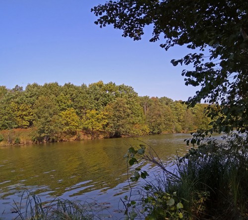 Les_13.09.2019-2.jpg