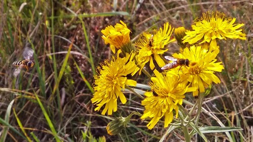 Les_15.09.2019-1.jpg