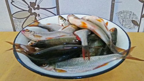Les_17.09.2019-3.jpg