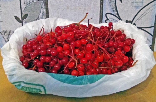 Les_17.09.2019-4.jpg