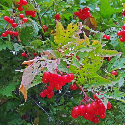 Les_19.09.2019-3.jpg