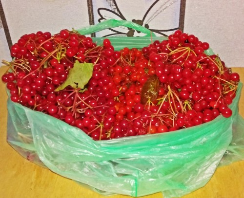 Les_19.09.2019-4.jpg