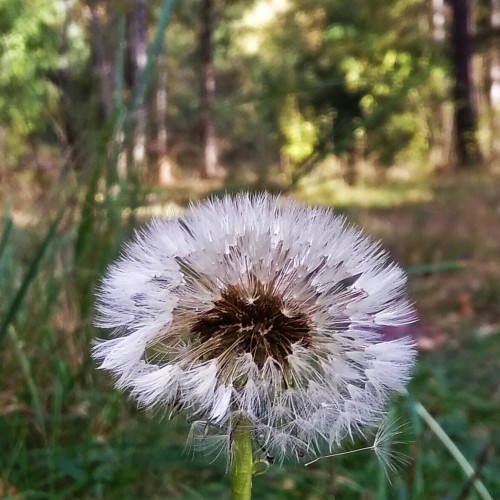 Les_21.09.2019-1.jpg