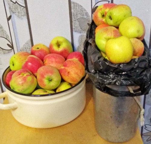 Les_21.09.2019-3.jpg