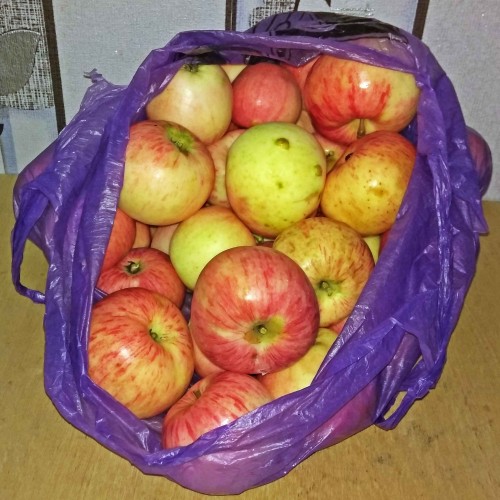 Les_23.09.2019-3.jpg