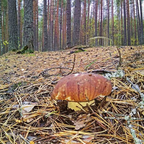 Les_25.09.2019-1.jpg