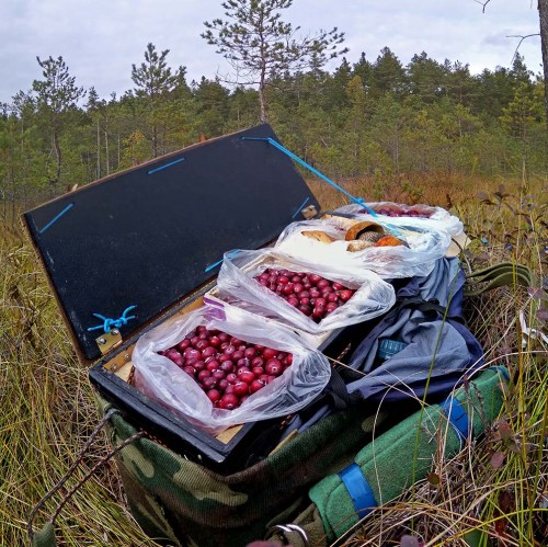 Les_25.09.2019-3.jpg