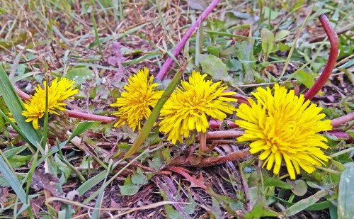 Les_26.09.2019-1.jpg
