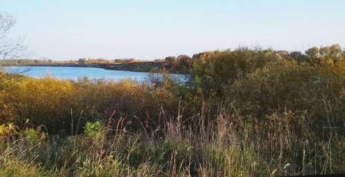 Les_20191004_3.jpg