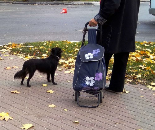 Les_20191004_6.jpg