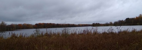 Les_2019-10-07_2.jpg