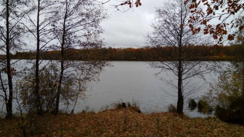 Les_2019-10-07_3.jpg