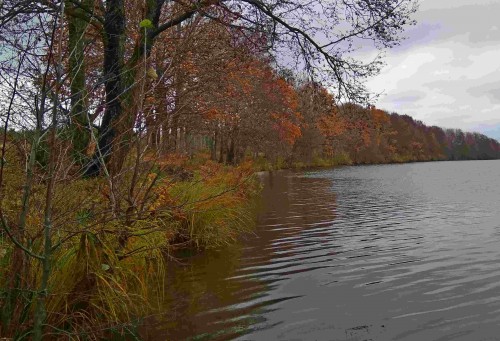 Les_2019-10-10_4.jpg
