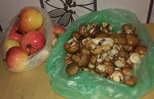 Les_2019-10-10_5.jpg
