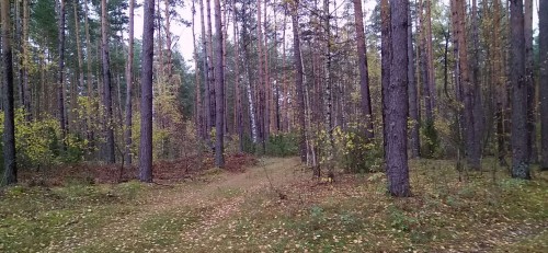 Les_11.10.2019-1.jpg