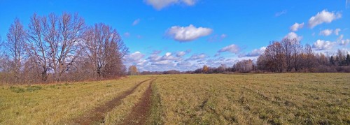Les_14.10.2019-1.jpg