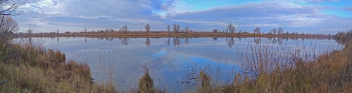 Les_16.10.2019-4.jpg