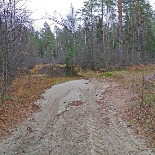 Les_27.10.2019-3.jpg