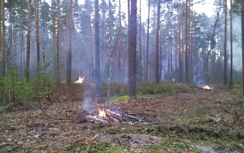 Les_27.10.2019-4.jpg