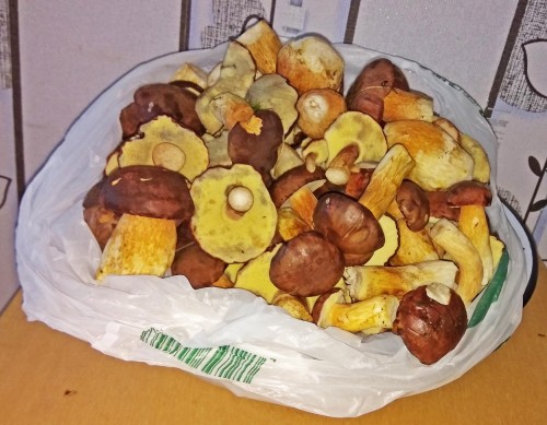 Les_28.10.2019-2.jpg