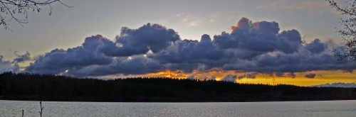 Les_07.11.2019-1.jpg