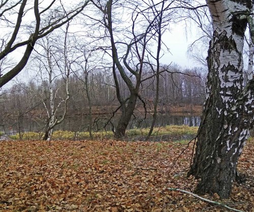 Les_09.11.2019-1.jpg