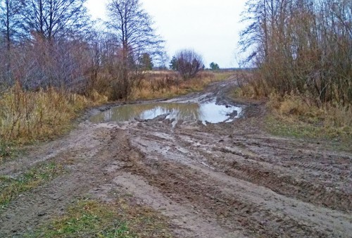 Les_11.11.2019-2.jpg