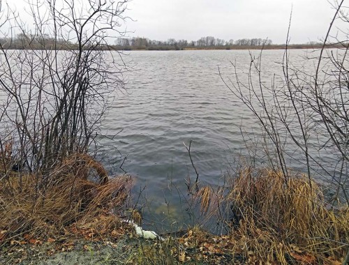 Les_11.11.2019-4.jpg